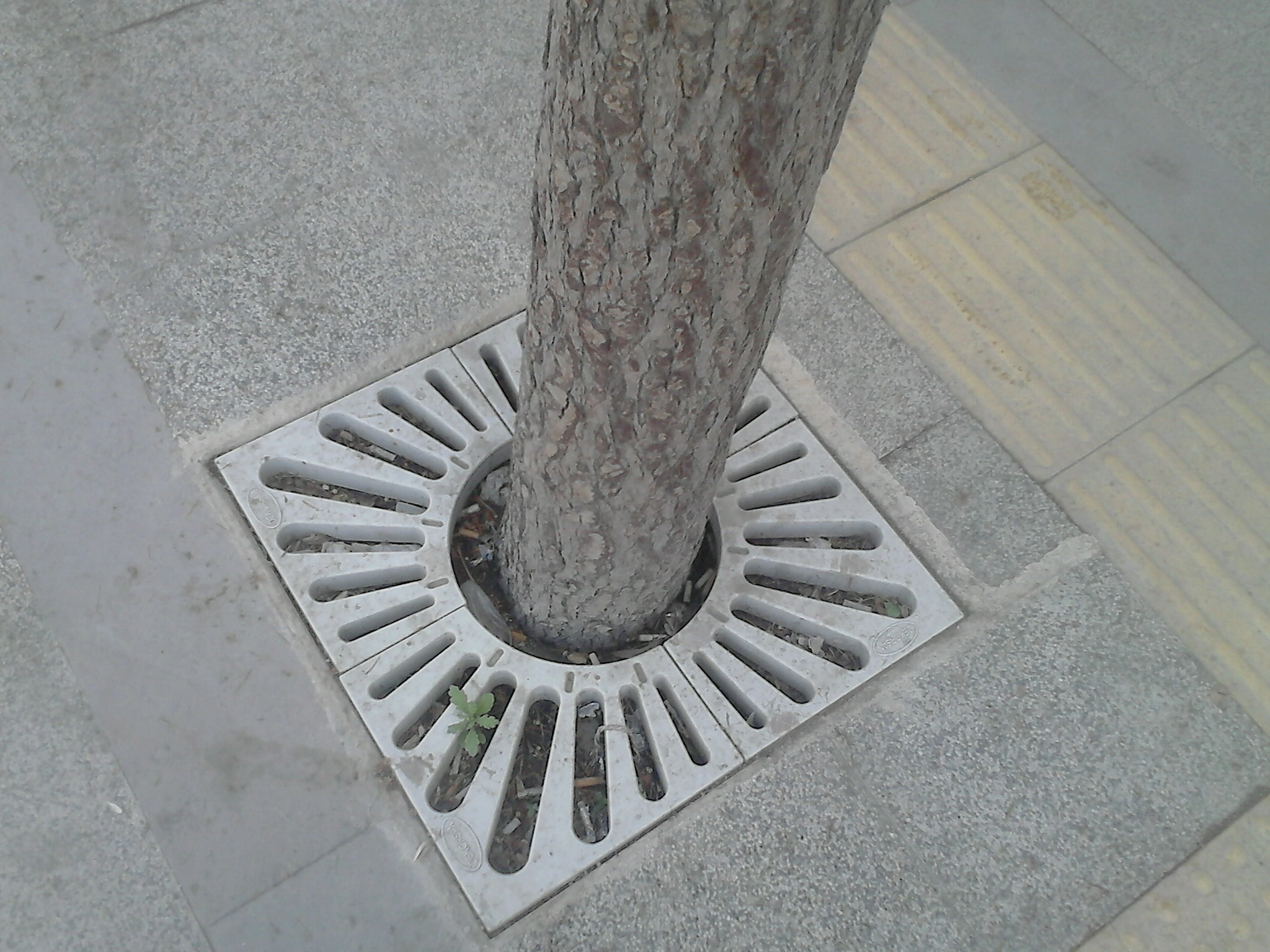 FK200 Composite Grate for bottom of tree 60x60
